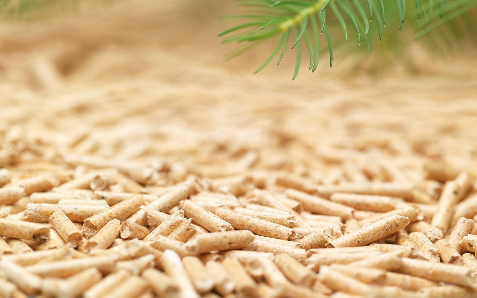 zero-verspelling zero-verspelling